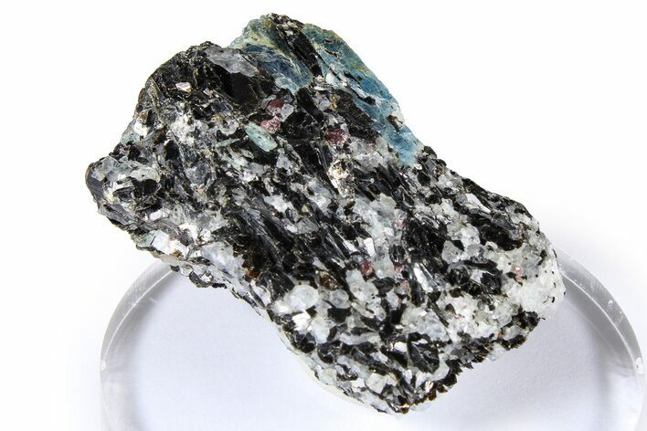 Fluorescent Kyanite & Garnet in Biotite-Quartz Schist - Russia #380656